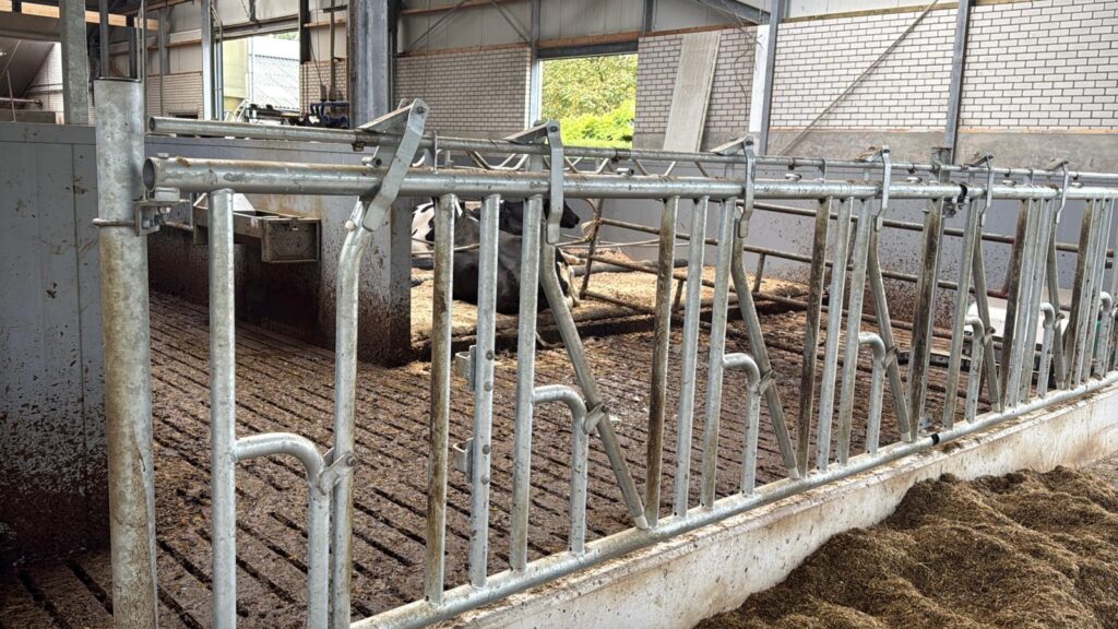 wygrodzenia dla bydła Podlaskie