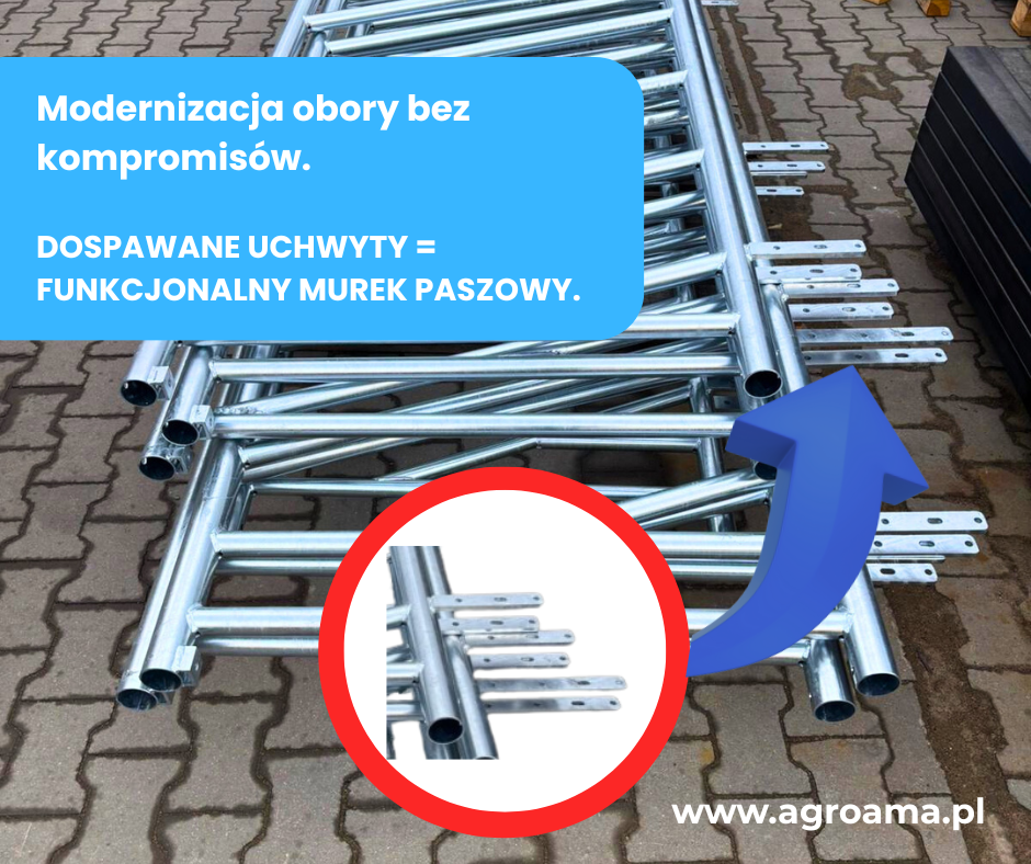 modernizacja obory wygrodzenia dla bydła