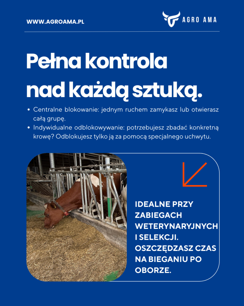 brama paszowa bezpieczna