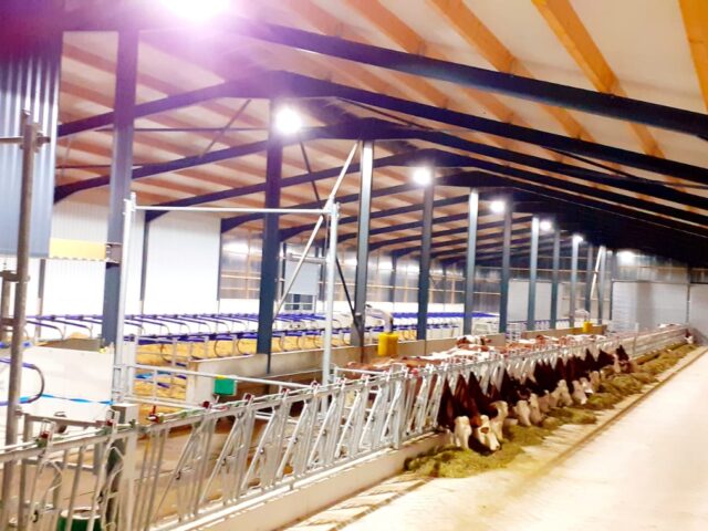 oświetlenie do obory