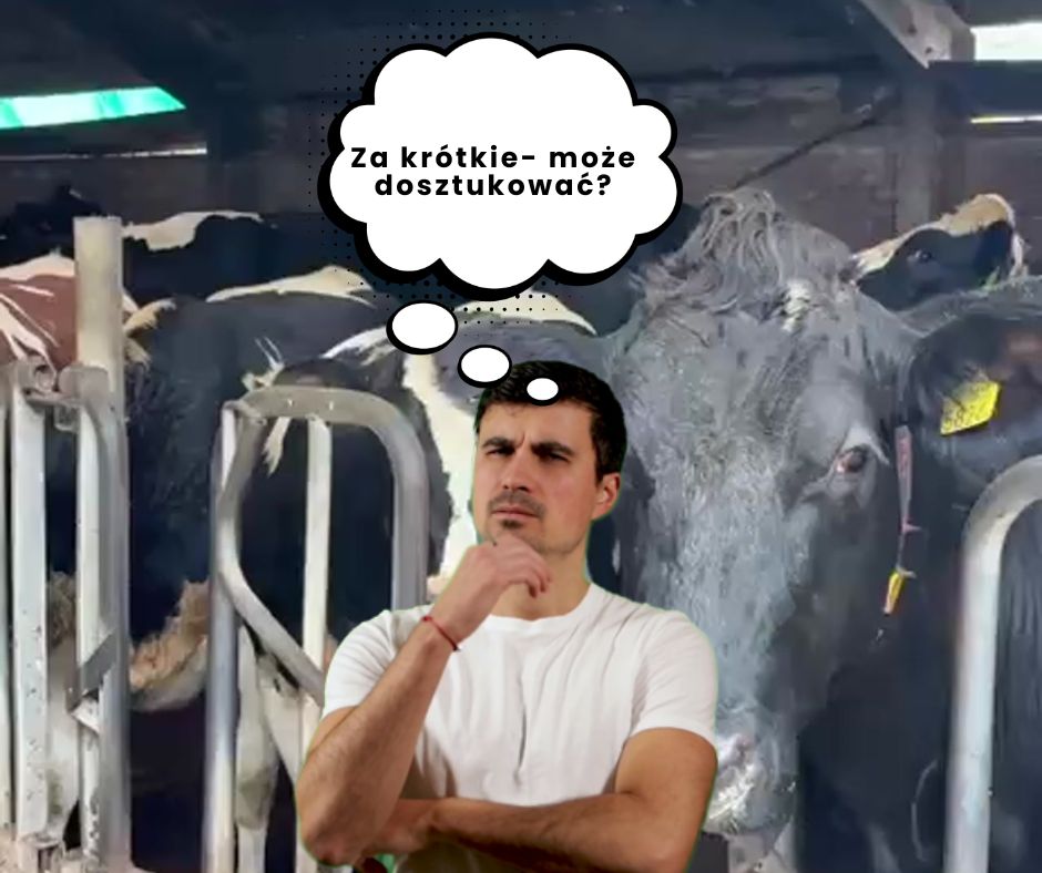 przegroda teleskopowa agro ama 