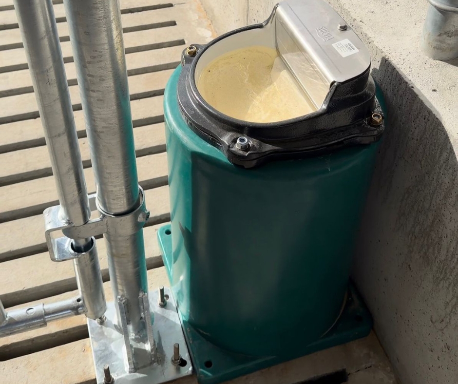 hala łukowa poidło