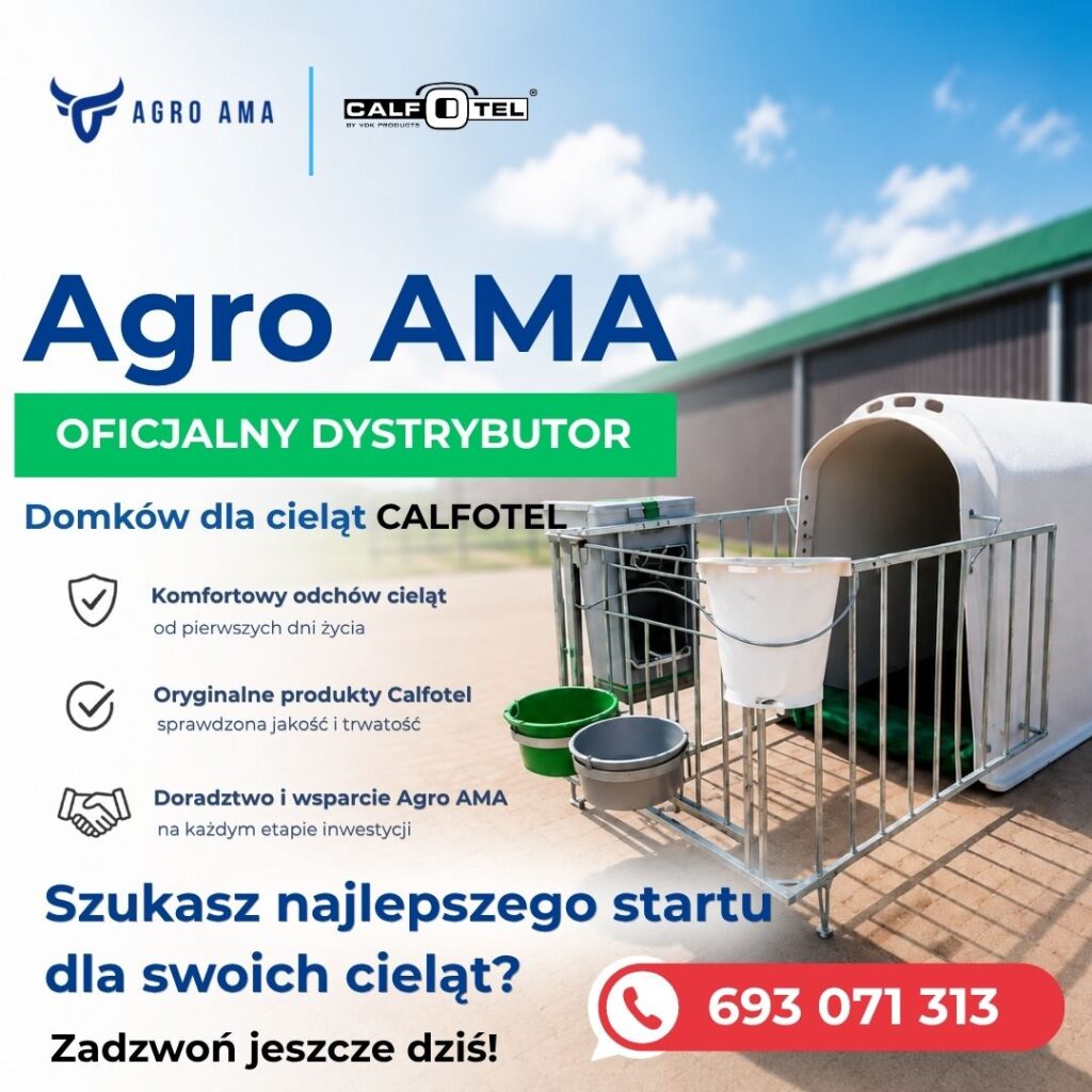 Calfotel domki dla cieląt